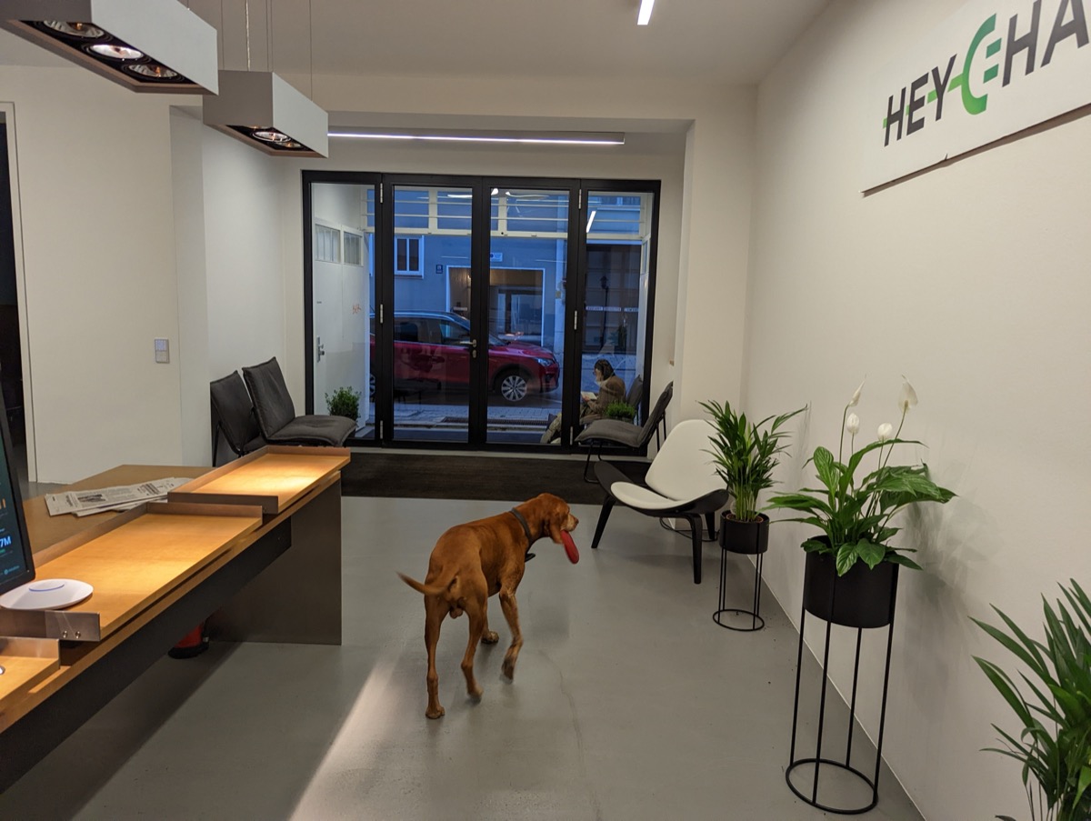 Our dog-friendly Munich office